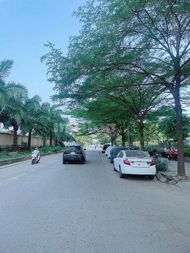 Định cư NN tôi cần bán gấp căn Biệt Thư 242m2 như hình giá 12,5 Tỷ 13E