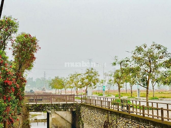 BÁN LÔ ĐẤT NỀN SÔNG CÔNG PARK CITY – HƯỚNG ĐÔNG NAM MÁT MẺ, ĐẮC ĐỊA