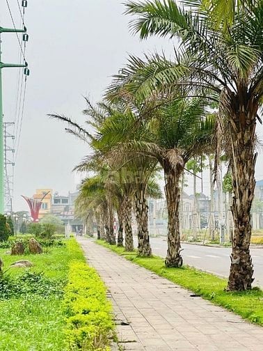 BÁN LÔ ĐẤT NỀN SÔNG CÔNG PARK CITY – HƯỚNG ĐÔNG NAM MÁT MẺ, ĐẮC ĐỊA