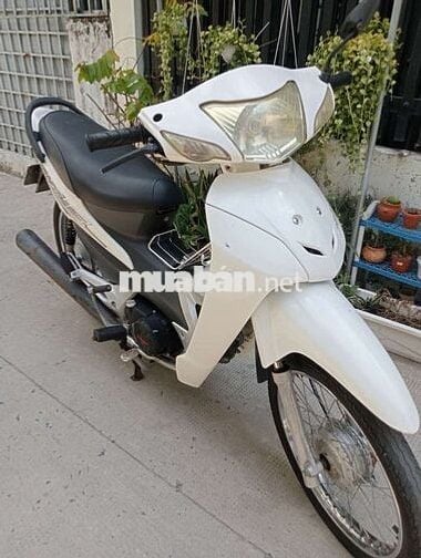 Xe 50cc máy êm