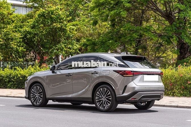 Lexus RX350 Premium model 2024 đi chỉ 15000 km