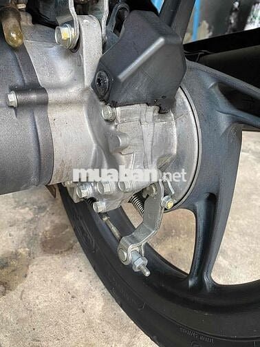 vison thể mâm lớn chính chủ