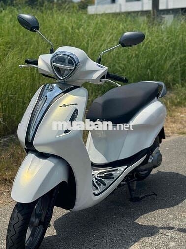 Noda greden đời 2024 mẫu mới 43AD-006.95