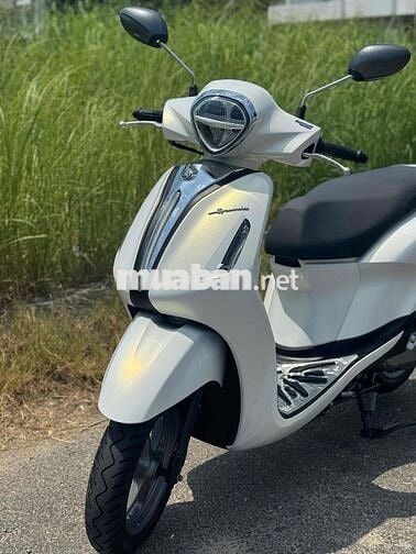 Noda greden đời 2024 mẫu mới 43AD-006.95