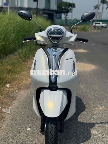 Noda greden đời 2024 mẫu mới 43AD-006.95