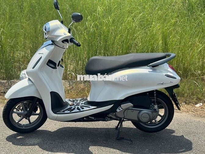 Noda greden đời 2024 mẫu mới 43AD-006.95