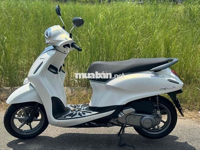 Noda greden đời 2024 mẫu mới 43AD-006.95