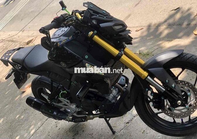 Xe người dùng lên nhiều đồ chơi kiểng lông lanh