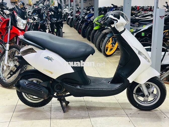 XE MÁY THỊNH PHÁT - ZIP VIỆT 100 TRẮNG BIỂN HÀ NỘI