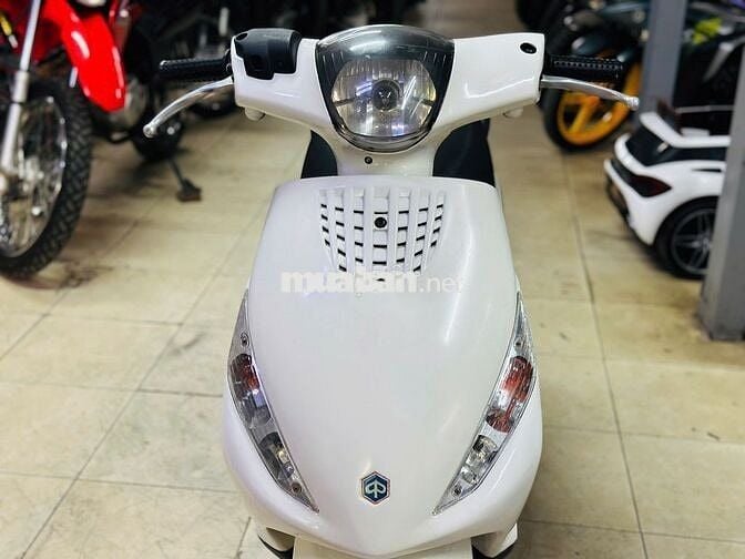 XE MÁY THỊNH PHÁT - ZIP VIỆT 100 TRẮNG BIỂN HÀ NỘI