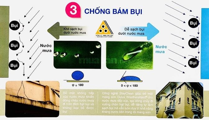 Dulux Weathershield Powerflexx - Sơn ngoại thất siêu cao cấp từ Dulux