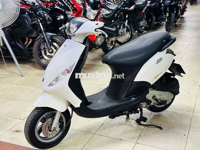 XE MÁY THỊNH PHÁT - ZIP VIỆT 100 TRẮNG BIỂN HÀ NỘI