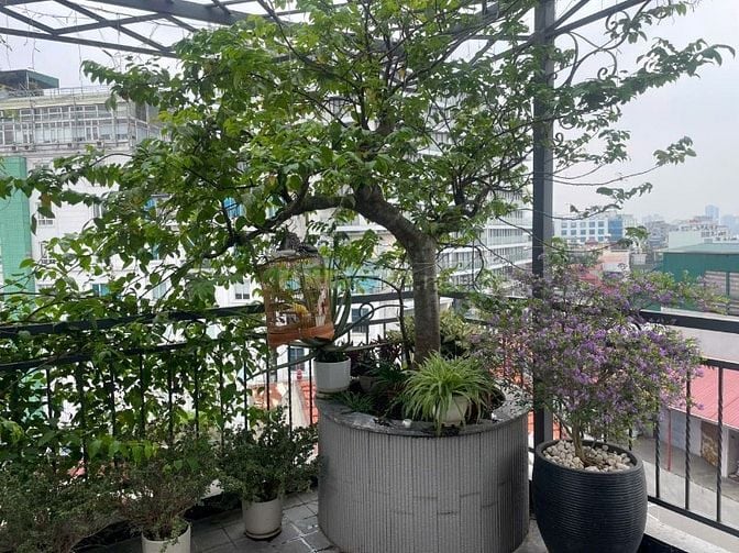 CĂN HỘ CHO THUÊ TẠI NGÕ 282 THỤY KHUÊ, TÂY HỒ- CHO THUÊ DÀI HẠN