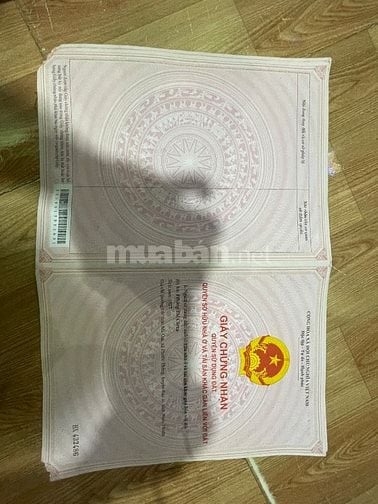 Ngộp ngân hàng. Kẹt tiền bán gấp