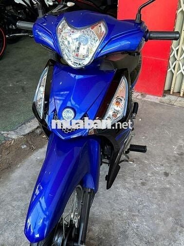 Elegant 50cc