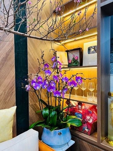 CHÍNH CHỦ Bán Nhà Lô Góc 3 Thoáng - 46m² x 3Tầng - Nở Hậu, Nội Thất Xị