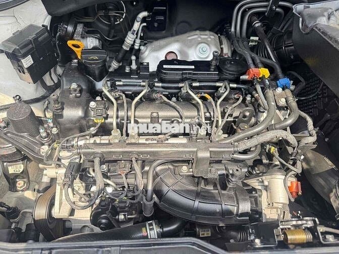 Kia Sorento 2.2 DATH màu trắng 2016