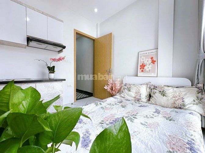 🏠 Siêu Phẩm 42m2 Dòng Tiền Cầu Giấy, Doanh thu 55tr, Chỉ Hơn 11 Tỷ 