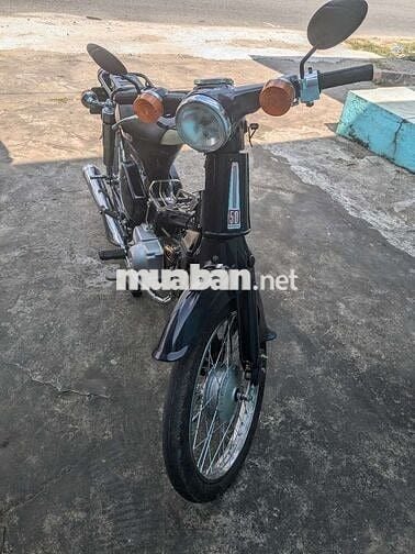 Honda cub 50cc học sinh
