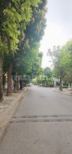 Bán Gấp BT Vân Canh thuộc khu ĐTM Vân Canh, mặt đường lớn.