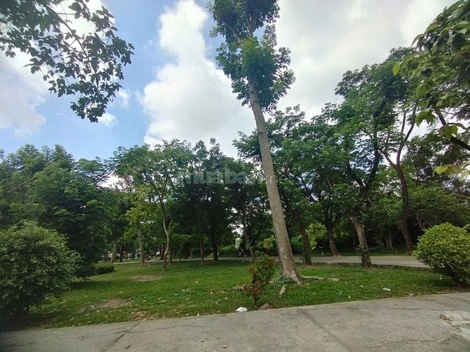 Ngây ngất 🌈 MT đường số 44- Bình Phú, F. 10,Q.6 4 Tầng chỉ 13 tỷ
