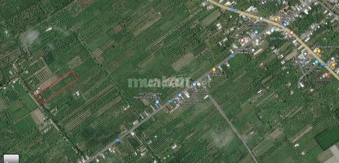 Đất vườn 13 công, có 300m2 thổ cư, 200 gốc sầu riêng, tưới tự động