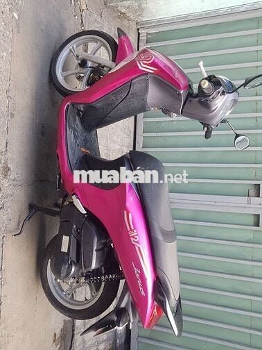 Zanus 2019 bs đẹp