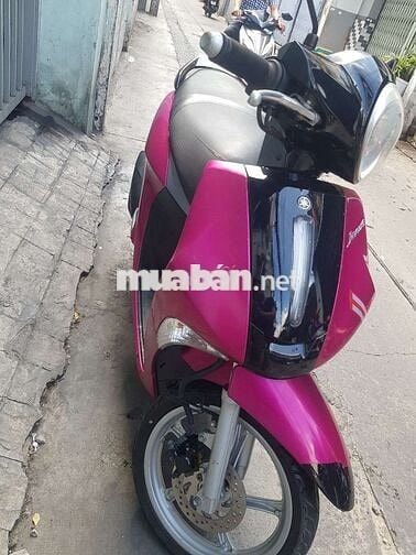 Zanus 2019 bs đẹp