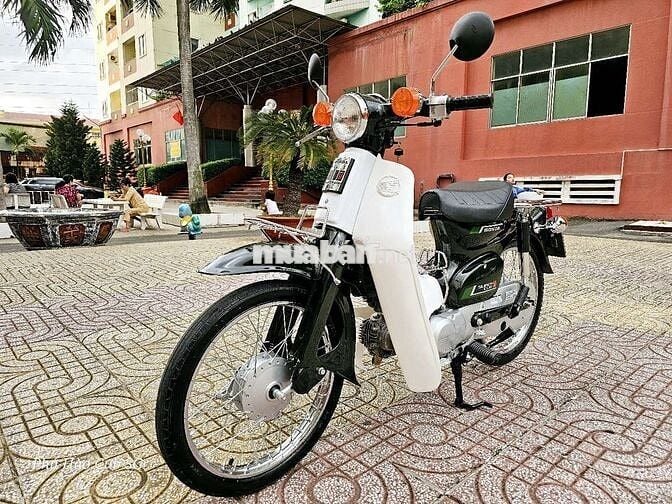 Honda Super Cub 81/86/50cc Kim Vàng Giọt Lệ NHẬT