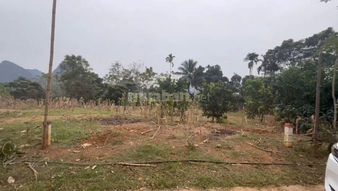 BÁN ĐẤT GIÁ RẺ MINH SƠN NGỌC LẶC