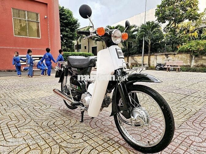 Honda Super Cub 81/86/50cc Kim Vàng Giọt Lệ NHẬT