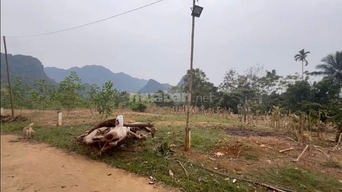 BÁN ĐẤT GIÁ RẺ MINH SƠN NGỌC LẶC
