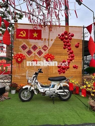 xe máy chaly 100cc còn giấy gốc