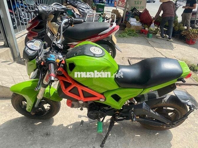 Ducati monter mini 110