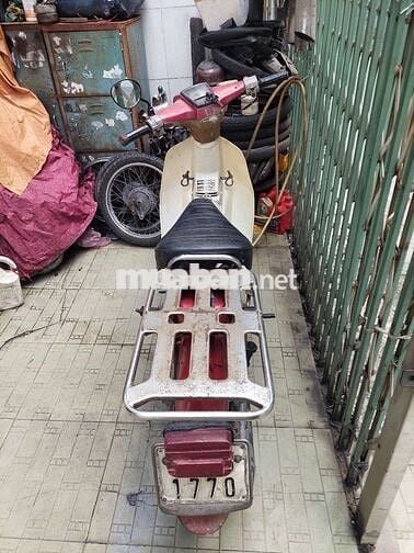 Honda cup dh88 bstp có đề