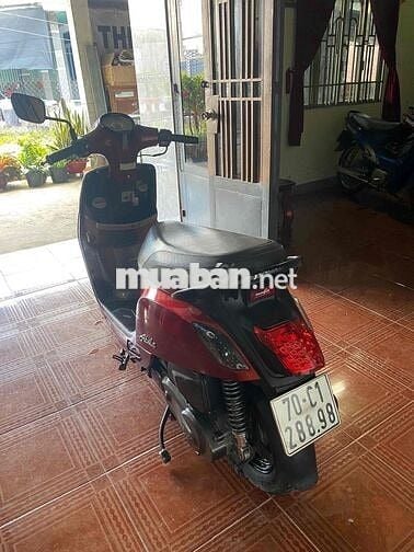 abela 110 xe tay ga dành cho mấy chị bé bé xinh