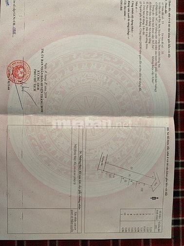 Nhà nguyên căn 167m2, sổ hồng riêng, đường Huỳnh Văn Nghệ