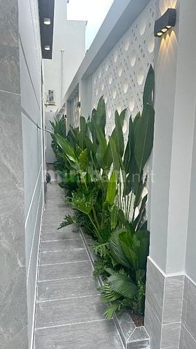 ❤️ SIÊU PHẨM  QUẬN 7 ĐẸP NHƯ HOA HẬU HOÀN VŨ - GIÁ CHỈ 6.45 TỶ ❤️