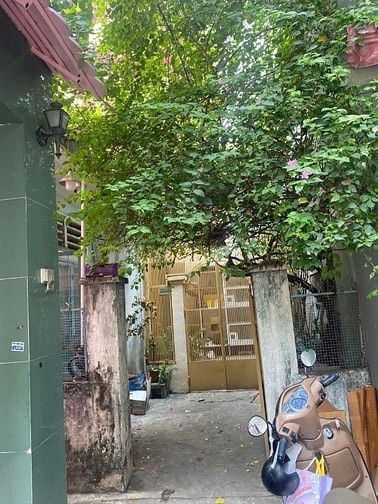 Bán nhà hẻm đường Trần Huy Liệu, Phường 8, Phú Nhuận, 52m2