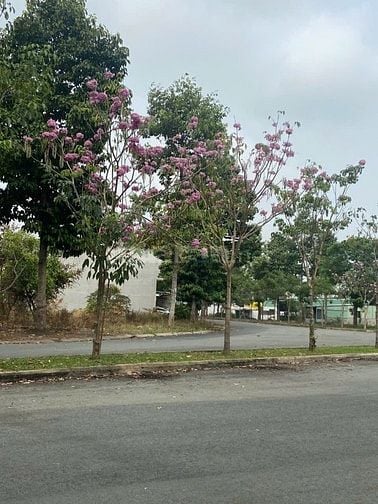 Bán đất đường số 1 khu Dân Cư Hoàng Long