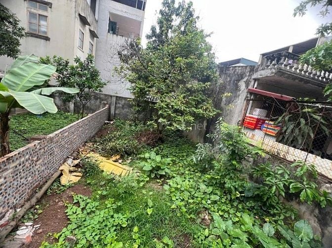 BÁN ĐẤT PHÂN LÔ GIANG BIÊN – 62M2 – MT 5.7M – Ô TÔ tránh – GIÁ 10.1 tỷ