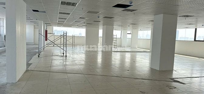 Chính chủ cho thuê 500m2 văn phòng trung tâm Quận Cầu Giấy 