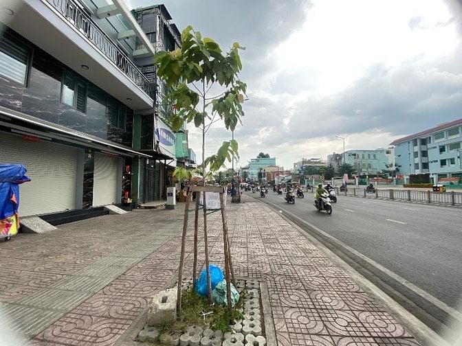 Cho thuê nhà mt Tên Lửa, Bình Tân, 10x20m, trệt, 45tr, đường số 7, 28t