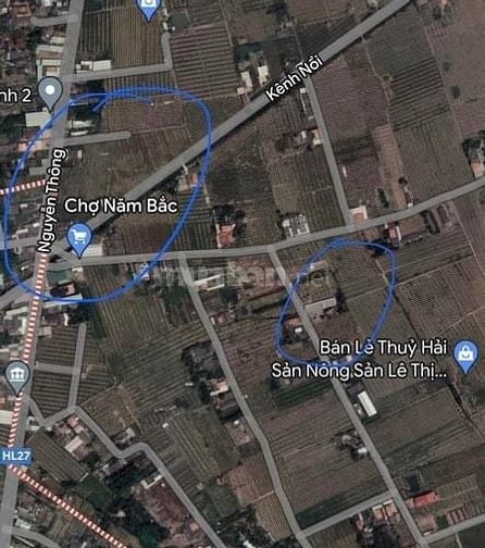 BÁN ĐẤT LONG AN - ĐẤT LỚN TRONG ĐÓ 1 PHẦN THỔ CƯ 