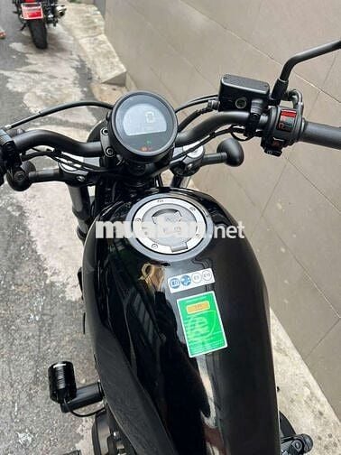 Rebel 500 2023 Cọp
