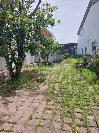 Bán căn cấp 4 sân vườn rộng rãi 