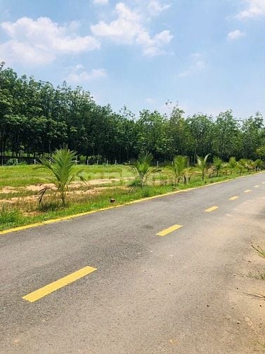 BÁN GẤP lô Tân Định Thành Phố Mới Bình Dương cách Khu Du Lịch Đại Nam 