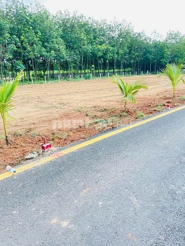 BÁN GẤP lô Tân Định Thành Phố Mới Bình Dương cách Khu Du Lịch Đại Nam 