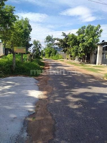 Bán lô đất 300m2 có nhà cấp 4, mặt tiền đường nhựa Bình Chánh