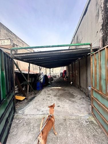 Cần cho thuê đất nhà , đang để đất